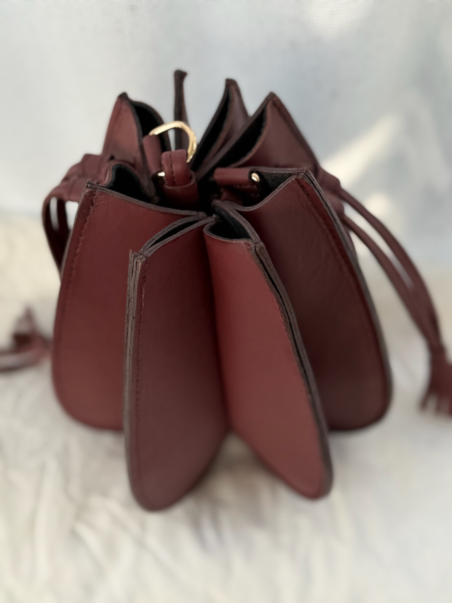 The Gentle Monster | Accordion Crossbody