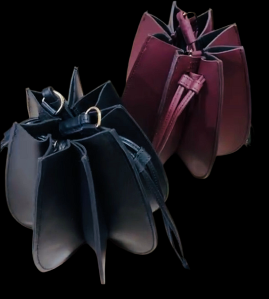 The Gentle Monster | Accordion Crossbody